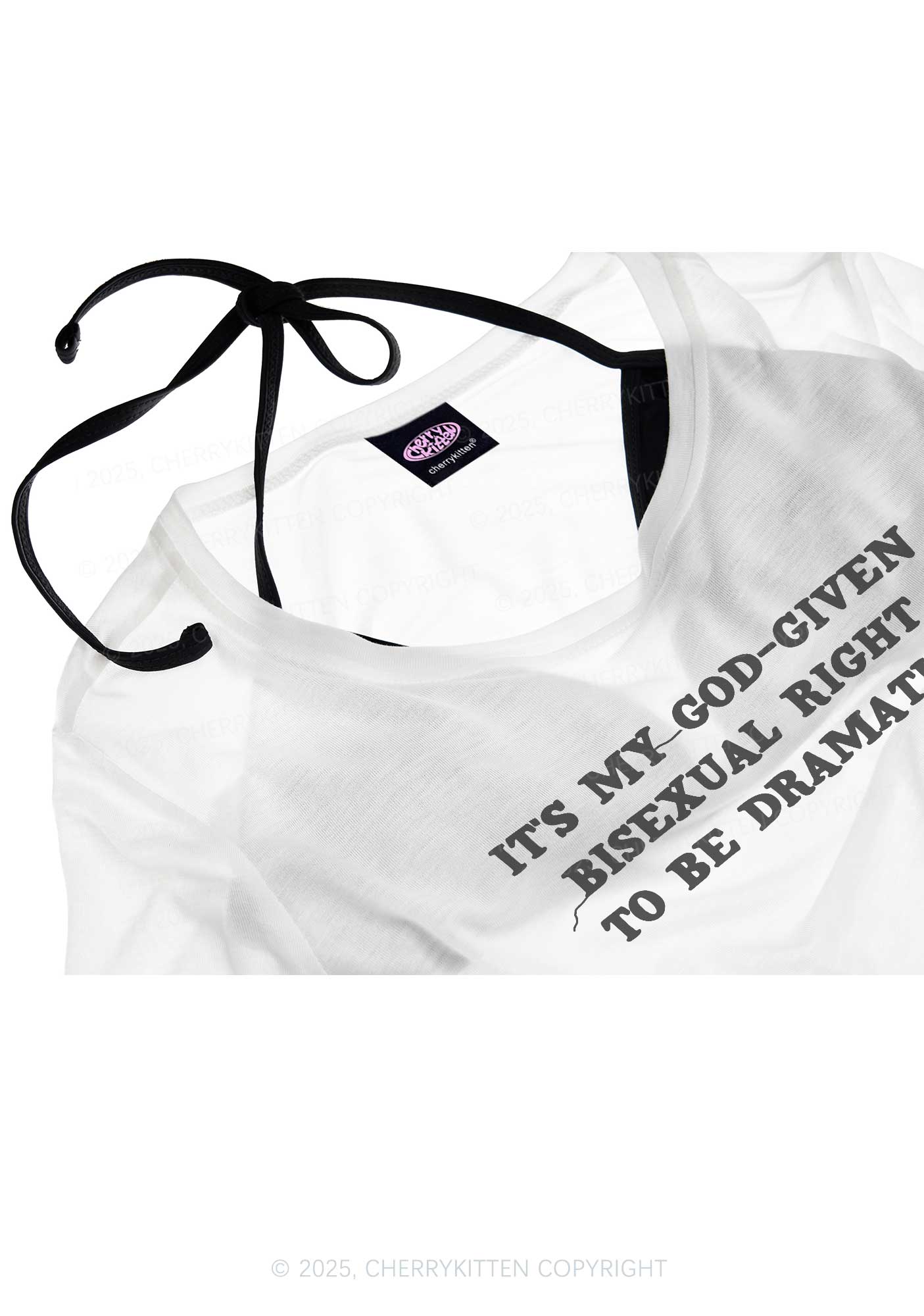 God Given Bisexual Right Pride Y2K Sheer Crop Tee Cherrykitten
