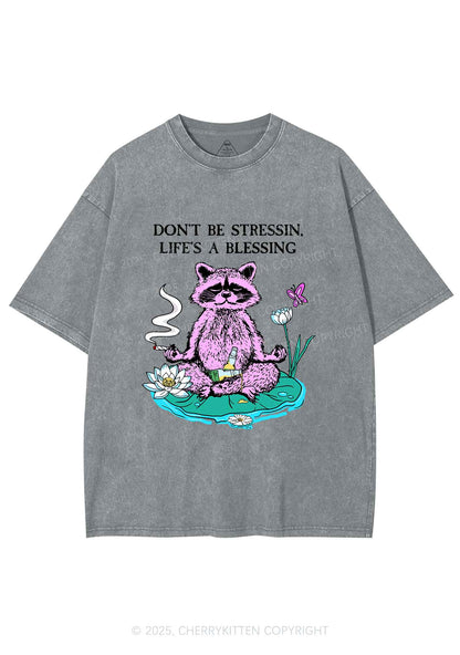 Dont Stress Raccoon Y2K Shirts Washed Tee Cherrykitten