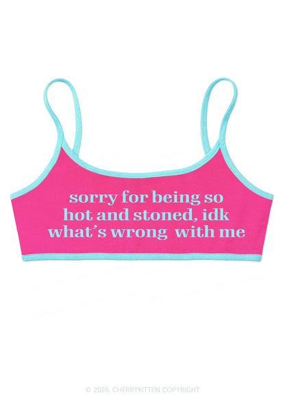 Sorry For Being Hot And Stoned Y2K Super Crop Cami Cherrykitten