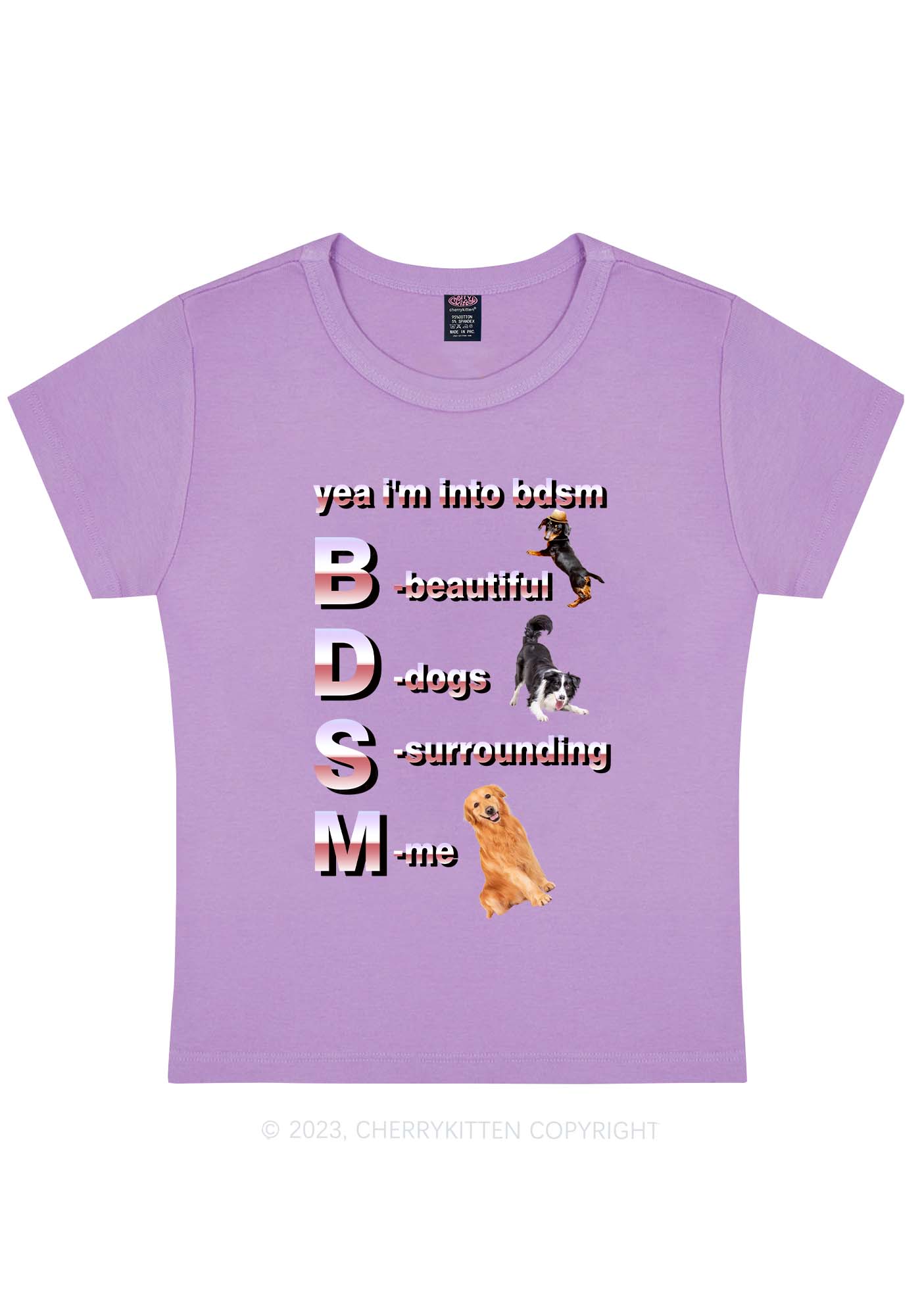 Yea I'm Into BDSM Y2K Baby Tee Cherrykitten