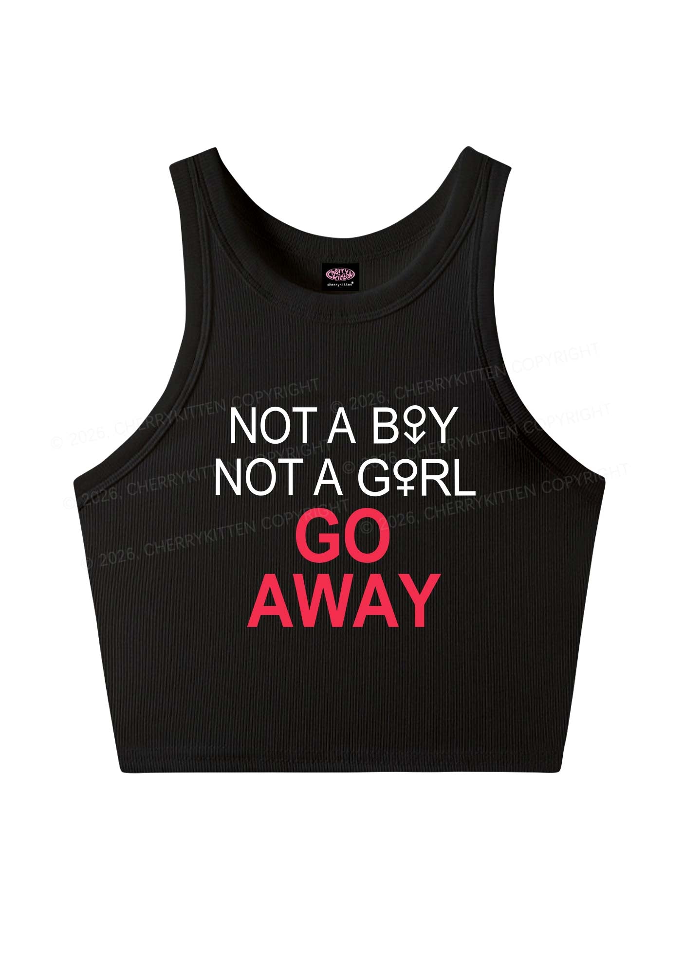 Go Away Pride Y2K Crop Tank Top Cherrykitten