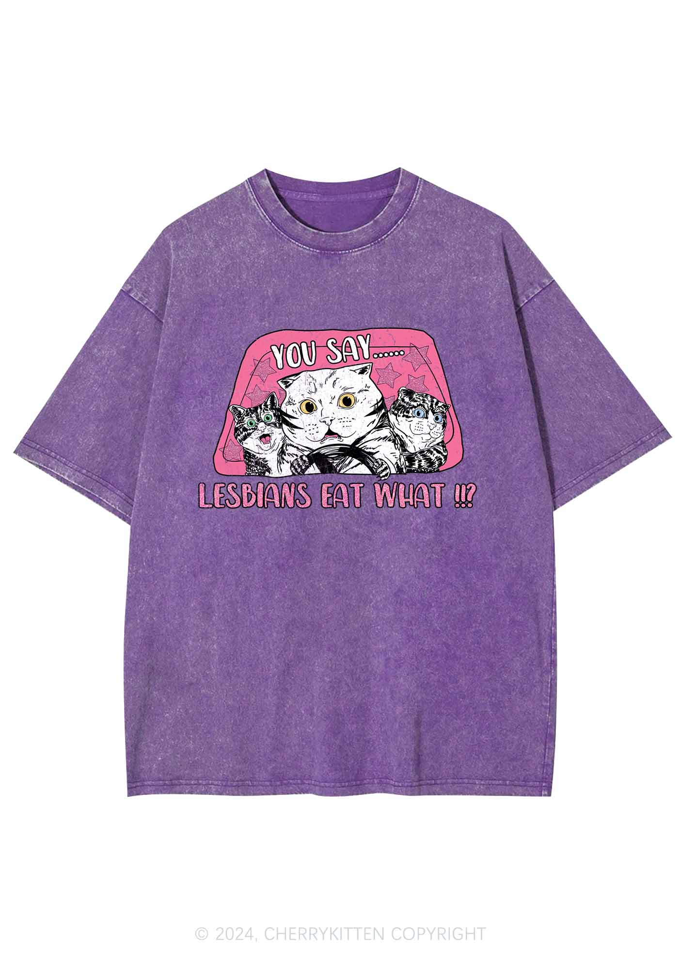 You Say Lesbians Eat What Y2K Washed Tee Cherrykitten