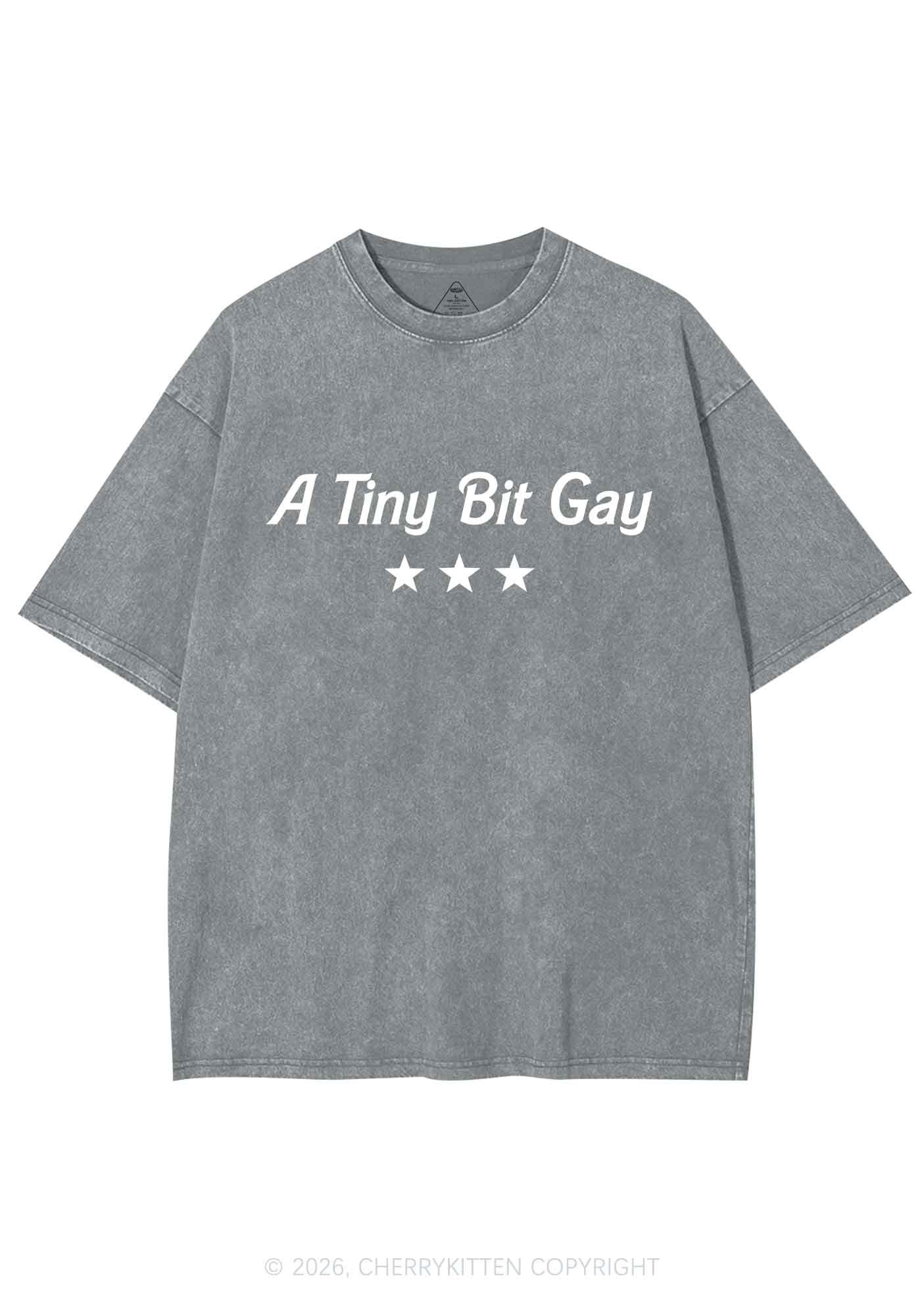 A Tiny Bit Gay Pride Y2K Shirts Washed Tee Cherrykitten