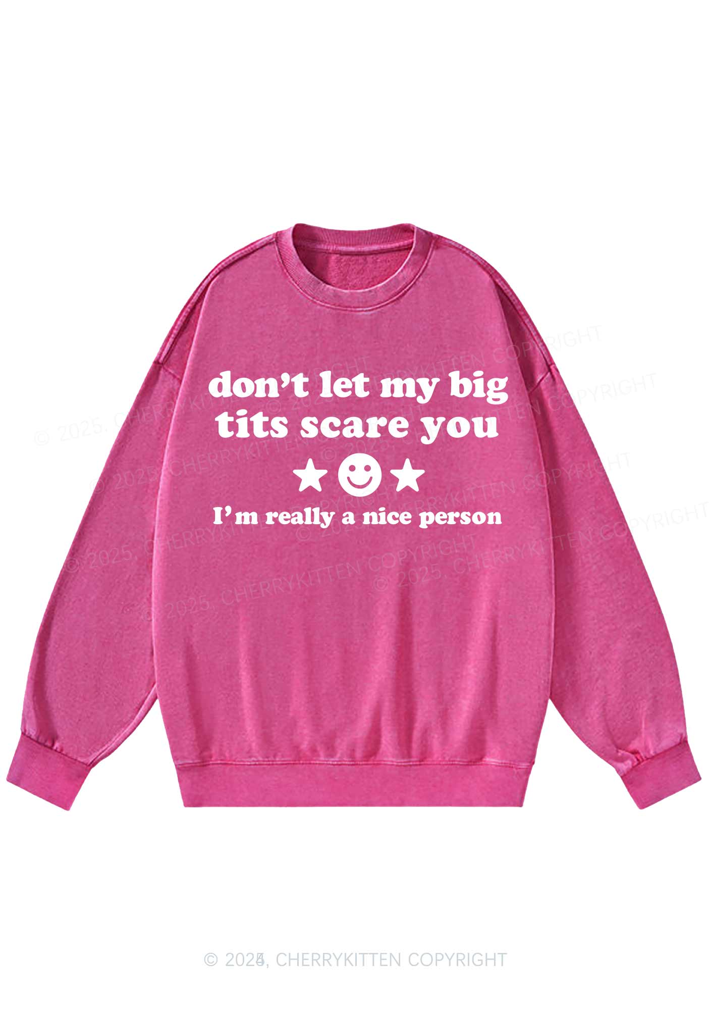 Dont Let My Big Txts Scare You Y2K Washed Sweatshirts Cherrykitten