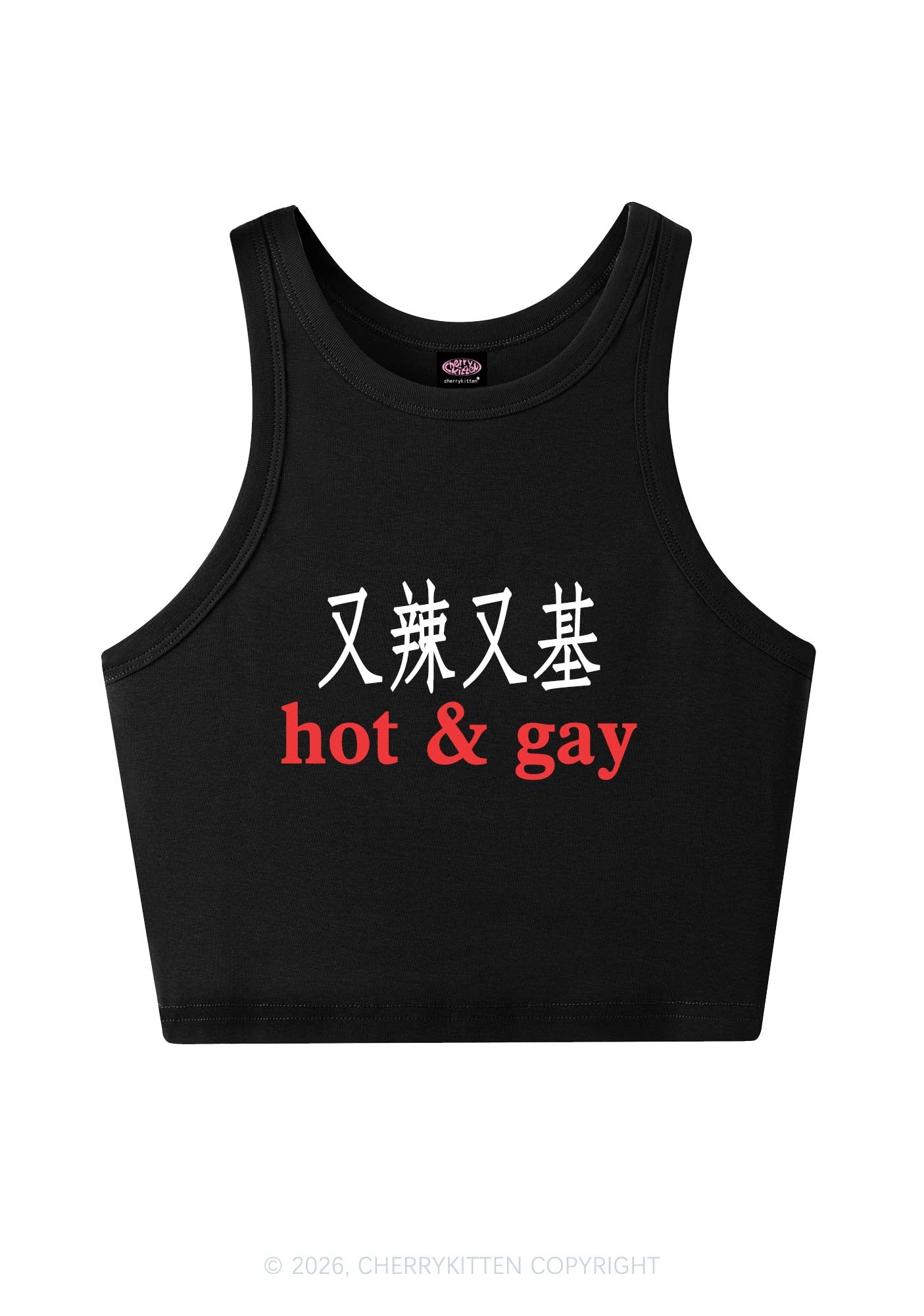 Hot Gay Pride Y2K Crop Tank Top Cherrykitten