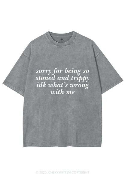Sorry For Being Stoned And Trippy Y2K Shirts Washed Tee Cherrykitten