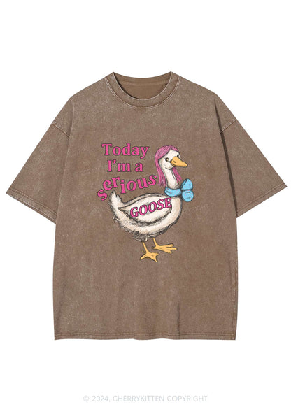 Serious Goose Y2K Washed Tee Cherrykitten