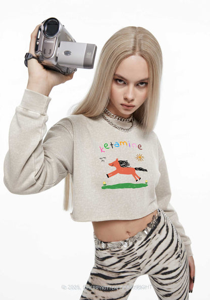 Orange Pony Y2K Crop Washed Sweatshirts Cherrykitten