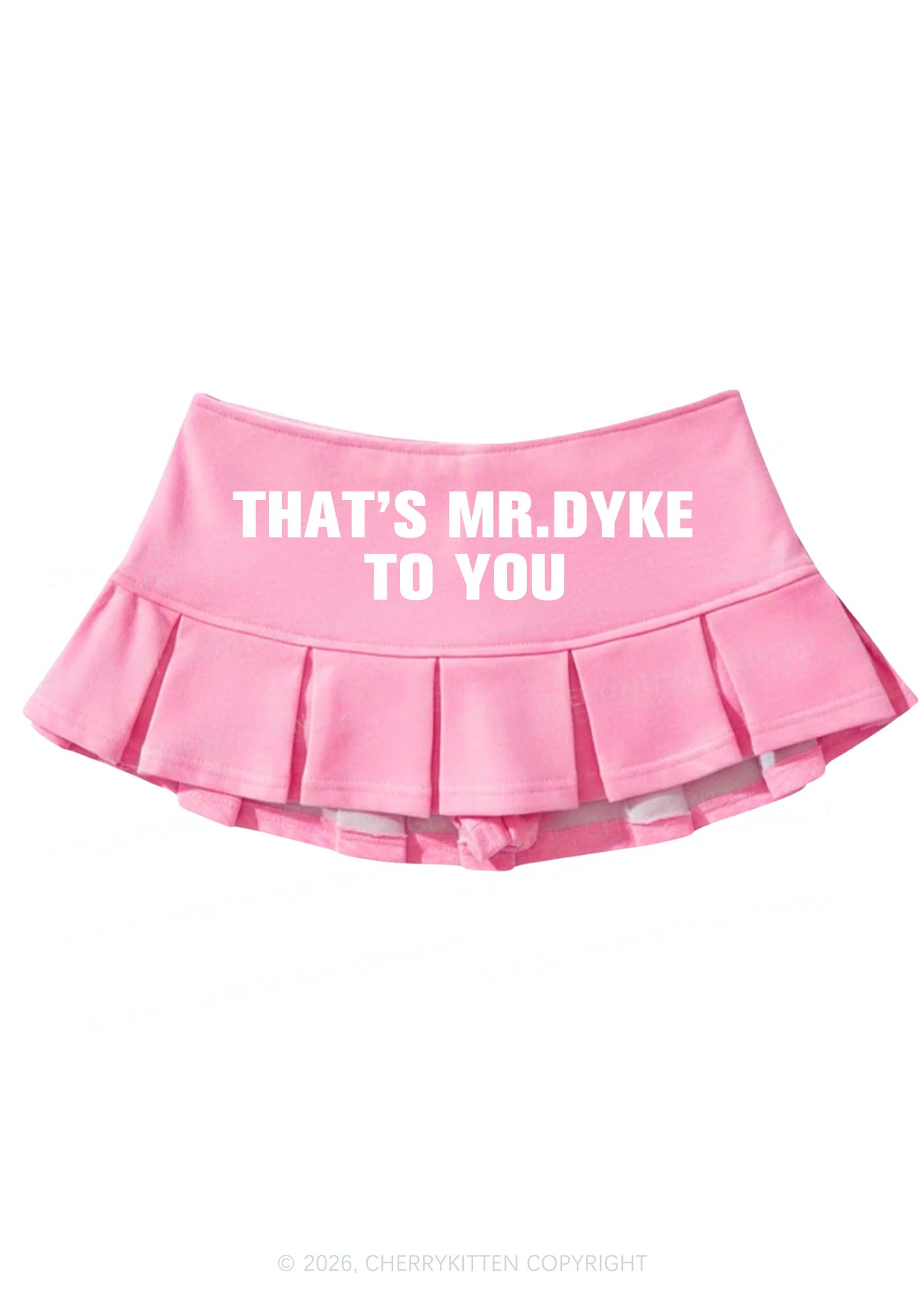Thats Mr Dyke Pride Y2K Mini Pleated Skirts Cherrykitten