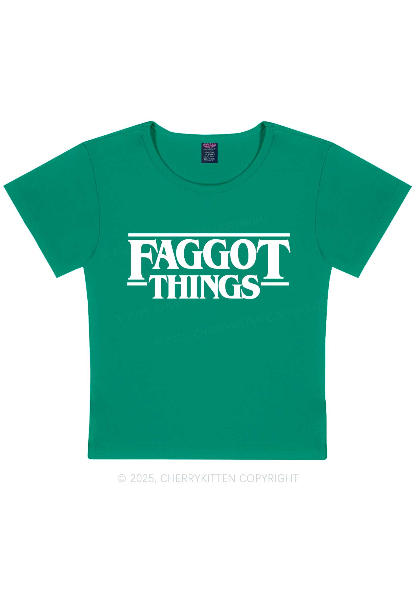 Faggot Things Pride Y2K Baby Tee Cherrykitten