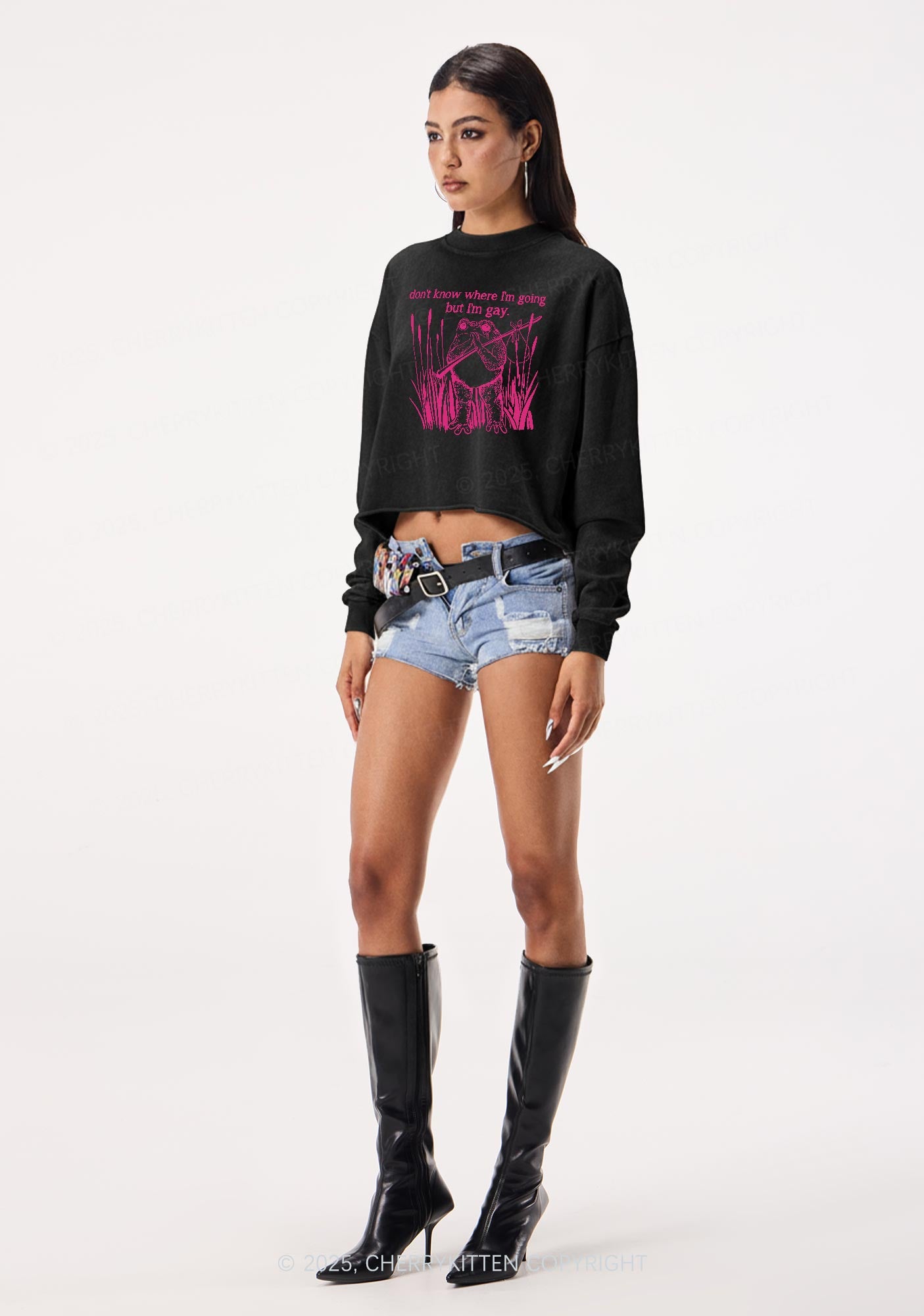 But I Am Gay Frog Pride Y2K Crop Washed Sweatshirts Cherrykitten