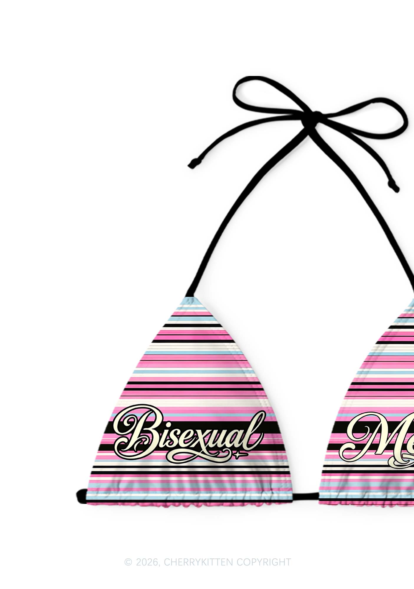Bisexual Mess Pride Y2K Print Bikini Set Cherrykitten