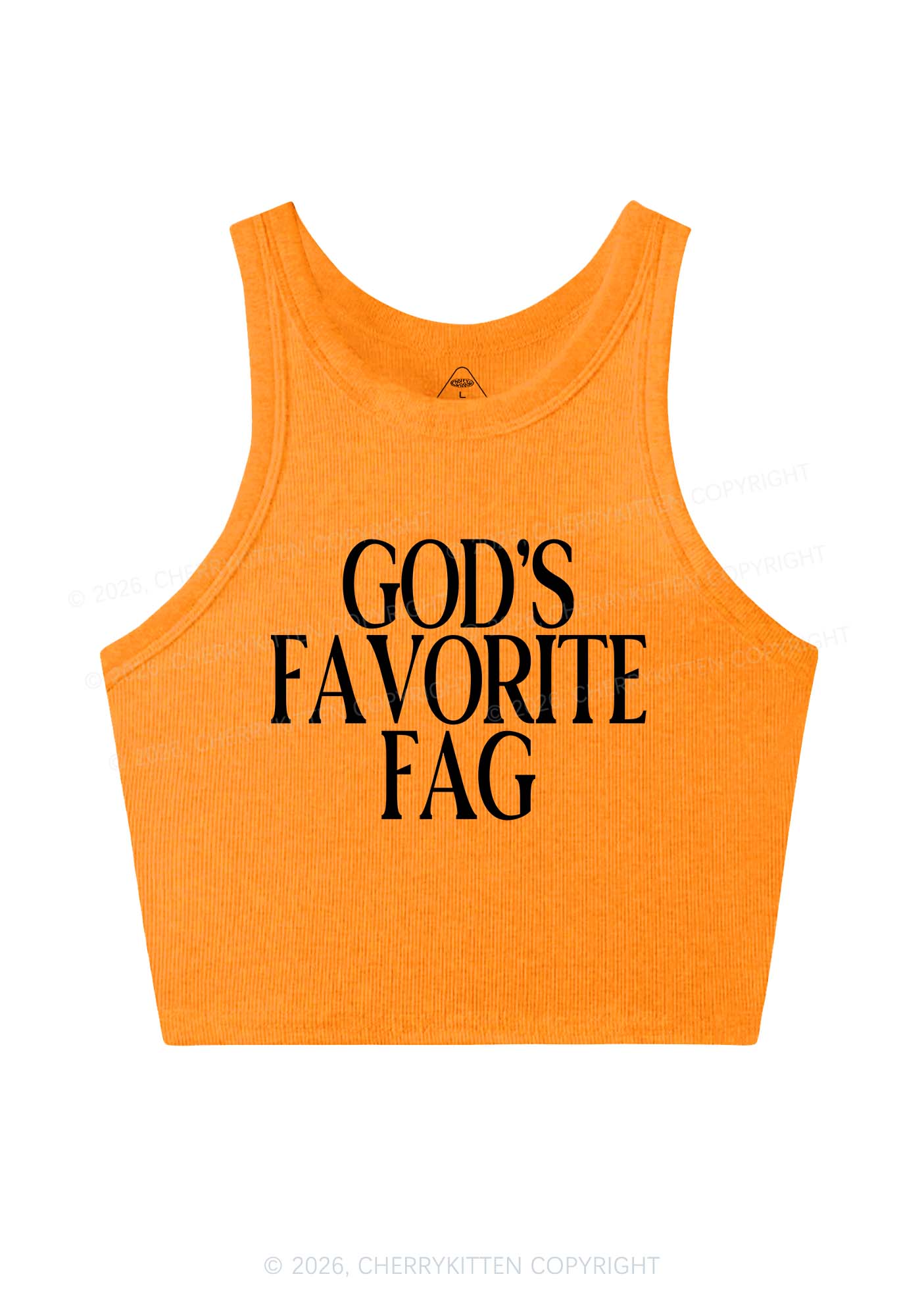 Gods Favorite Fag Pride Y2K Crop Tank Top Cherrykitten