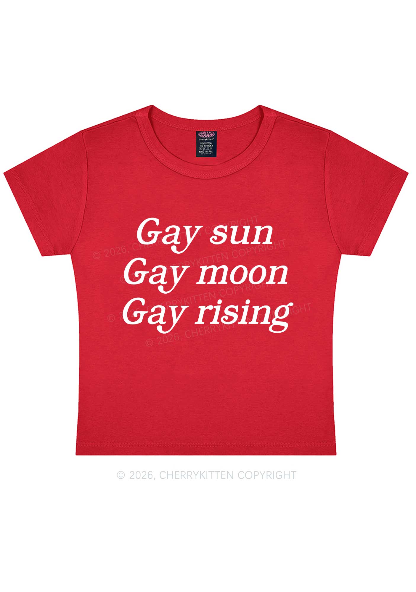 Gay Sun Moon Rising Pride Y2K Baby Tee Cherrykitten