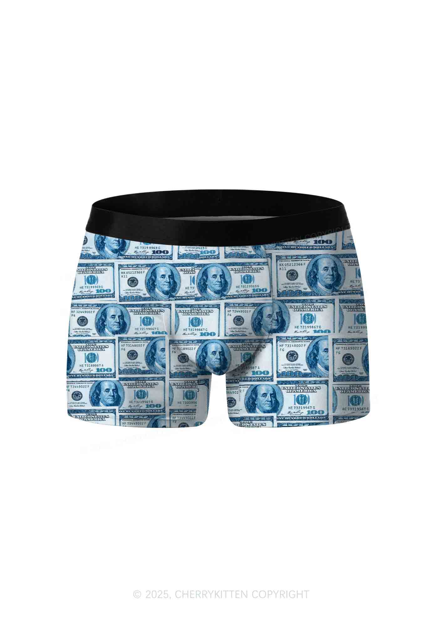 Blue Dollars Y2K Print Men Boxer Briefs Cherrykitten