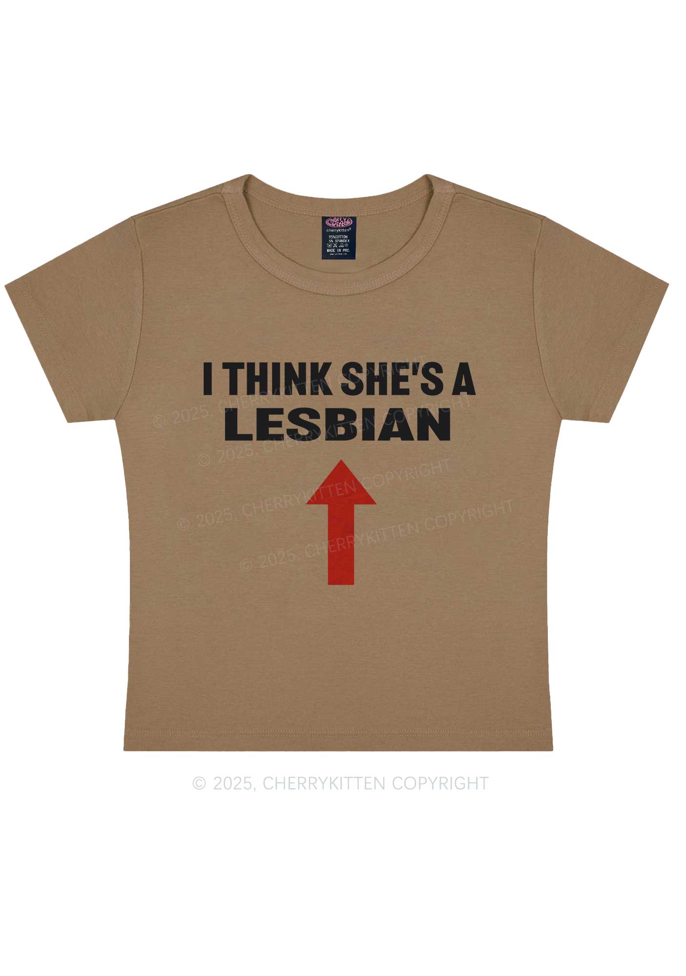 I Think She's A Lesbian Y2K Baby Tee Cherrykitten