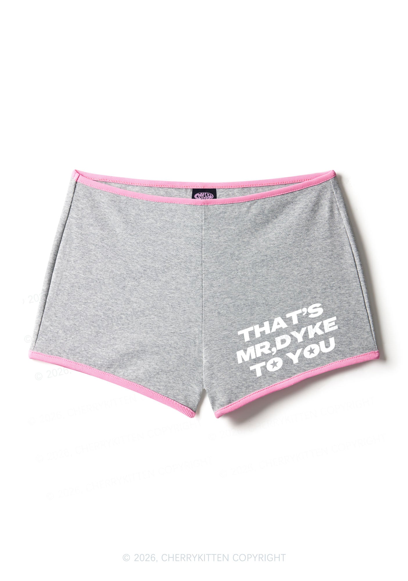 Thats Mr Dyke To You Pride Y2K Booty Shorts Cherrykitten