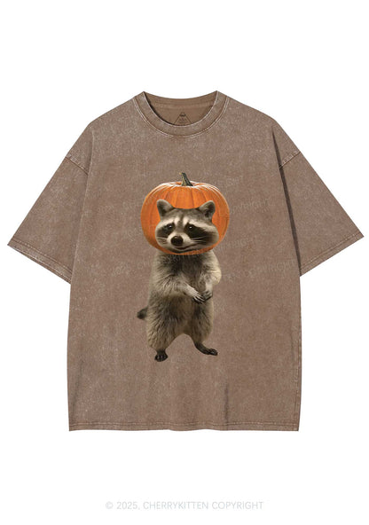 Halloween Silly Raccoon Y2K Shirts Washed Tee Cherrykitten