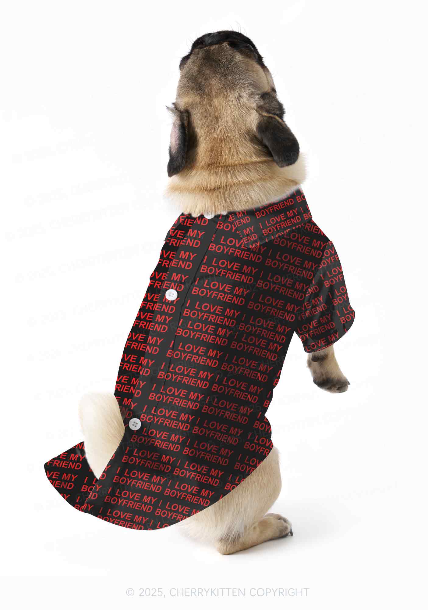I Love My Boyfriend Y2K Pet Shirts Cherrykitten