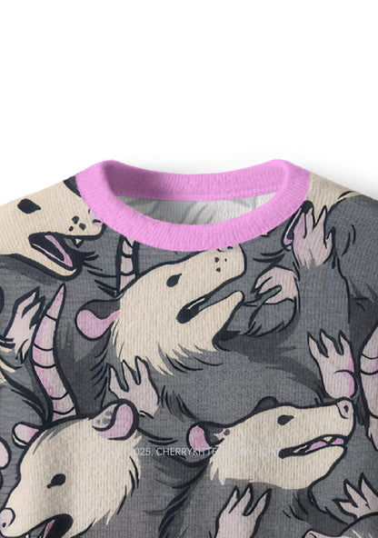 Grey Possum Y2K Christmas Knit Sweatshirt Cherrykitten
