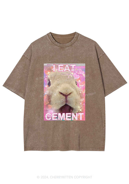 Bunny Eat Cement Y2K Washed Tee Cherrykitten