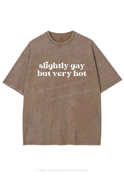 Slightly Gay But Very Hot Pride Y2K Shirts Washed Tee Cherrykitten