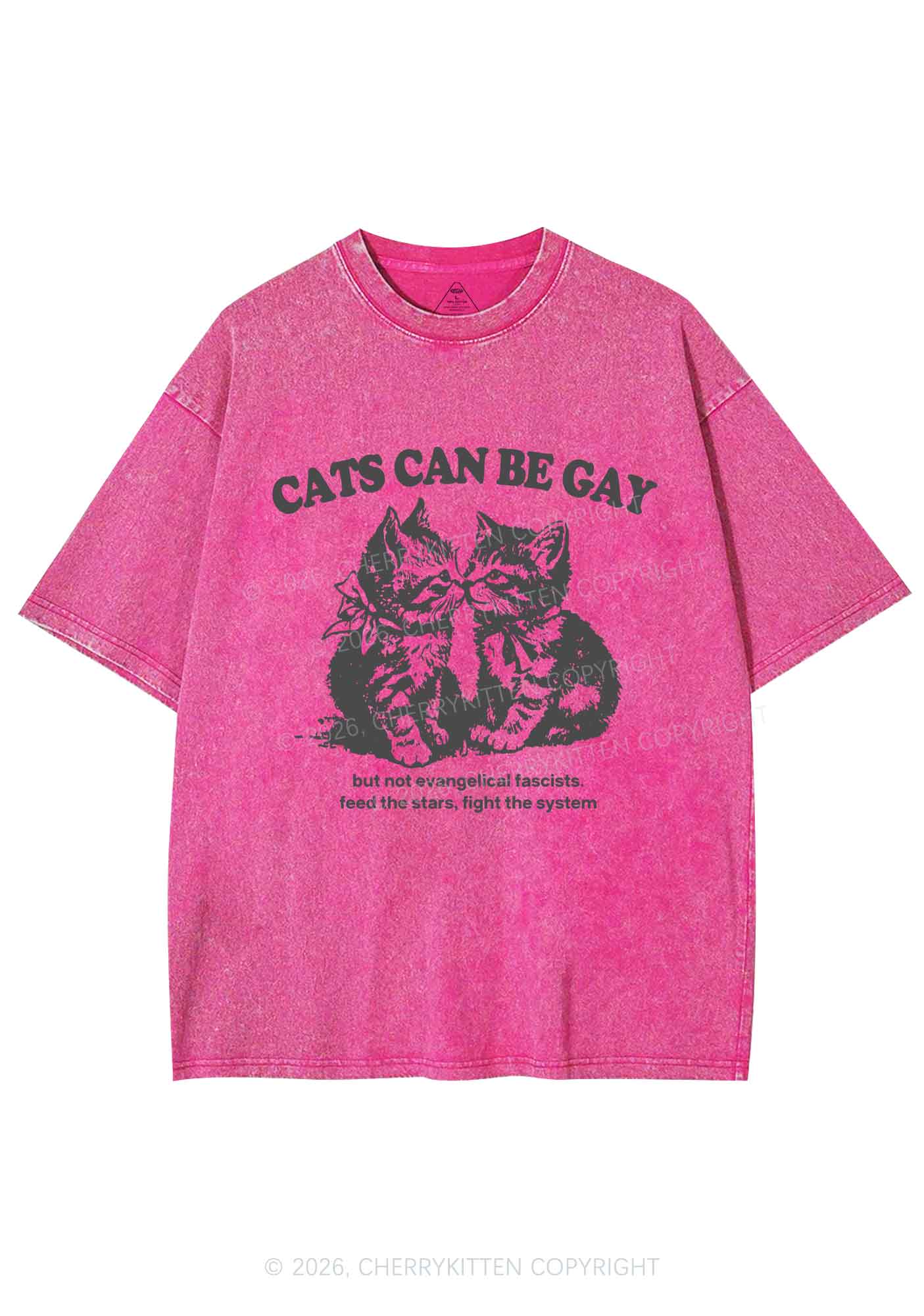 Cat Can Be Gay Pride Y2K Shirts Washed Tee Cherrykitten