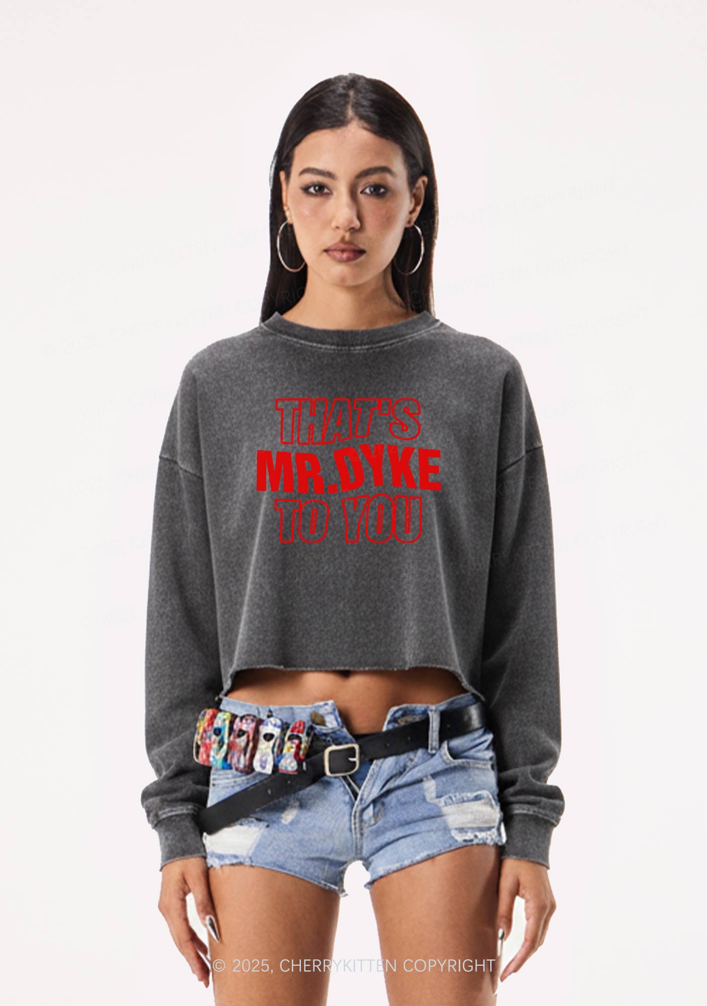 Thats Mr Dyke Pride Y2K Crop Washed Sweatshirts Cherrykitten