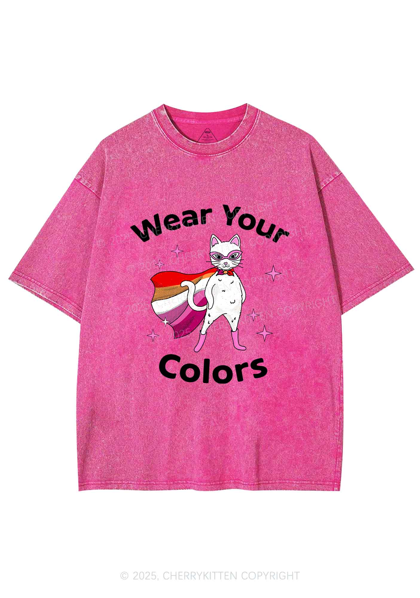 Lesbian Flag Cat Pride Y2K Shirts Washed Tee Cherrykitten