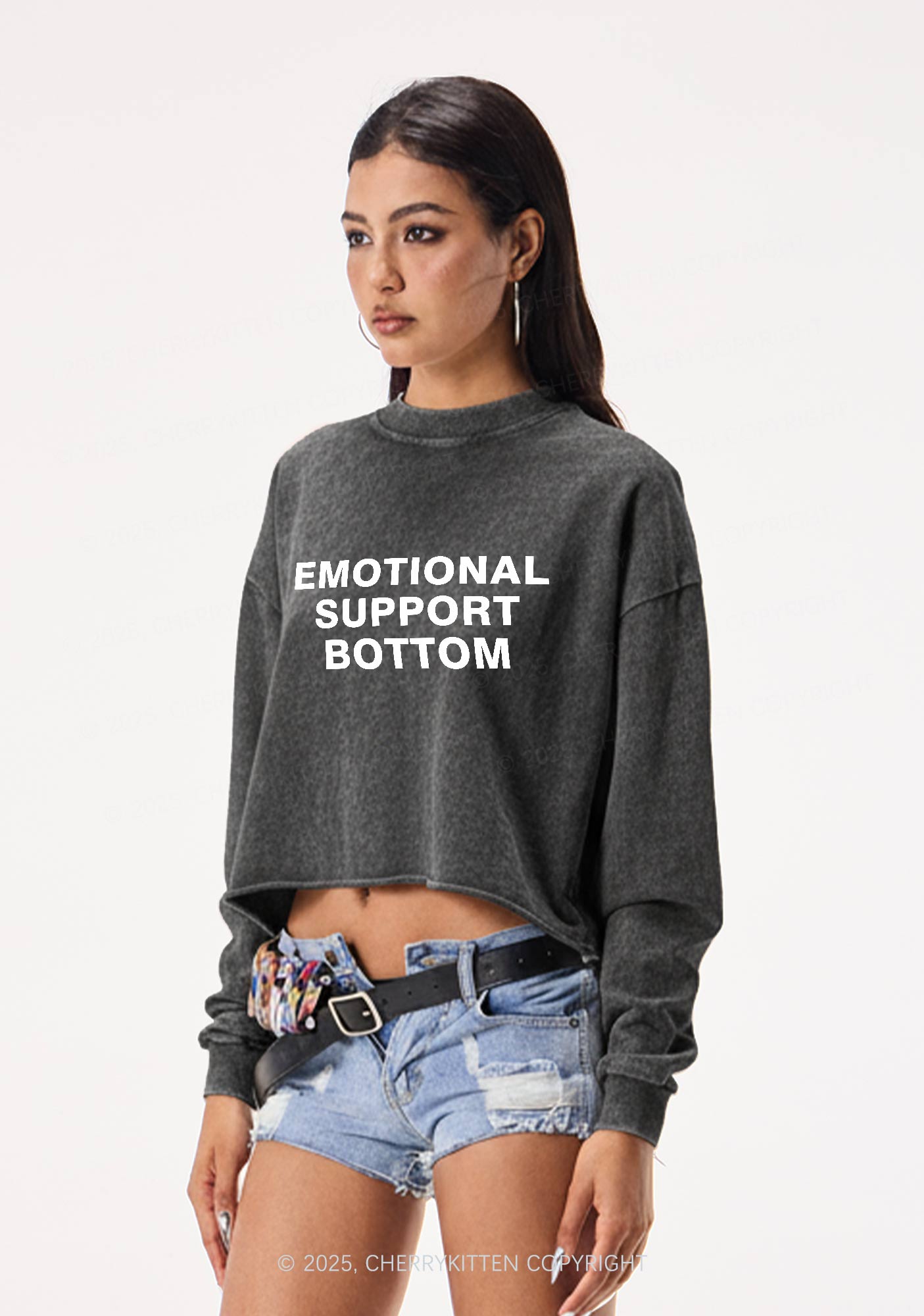 Emotional Support Bottom Pride Y2K Crop Washed Sweatshirts Cherrykitten