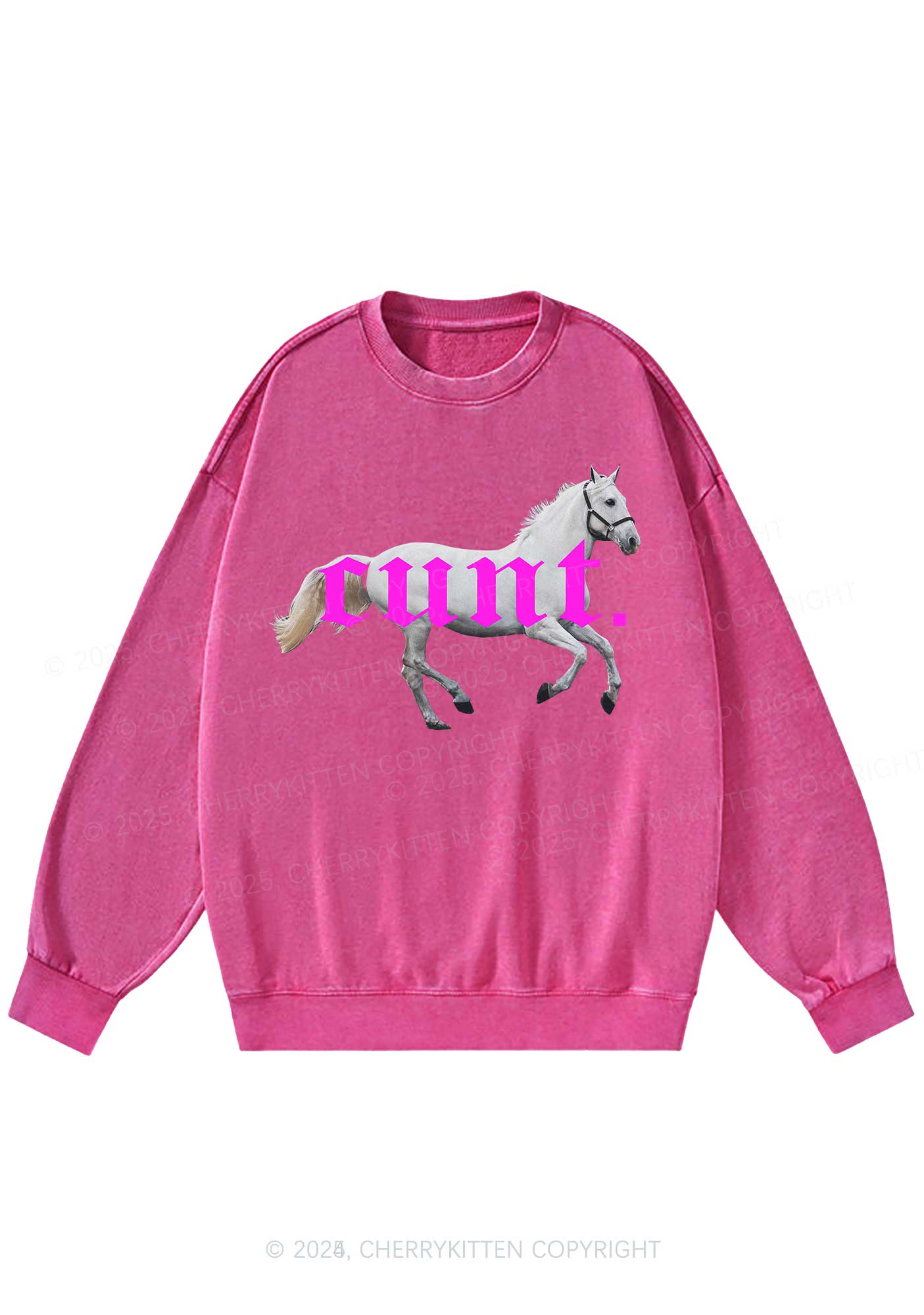 Cxxt Horse Y2K Washed Sweatshirts Cherrykitten