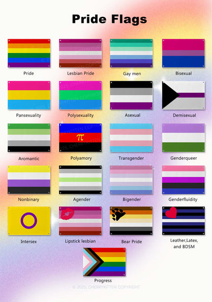 Y2K Pride Flags Cherrykitten