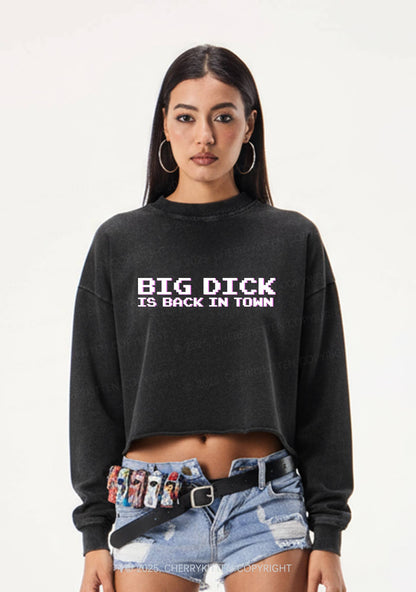 Big Is Back In Town Y2K Crop Washed Sweatshirts Cherrykitten