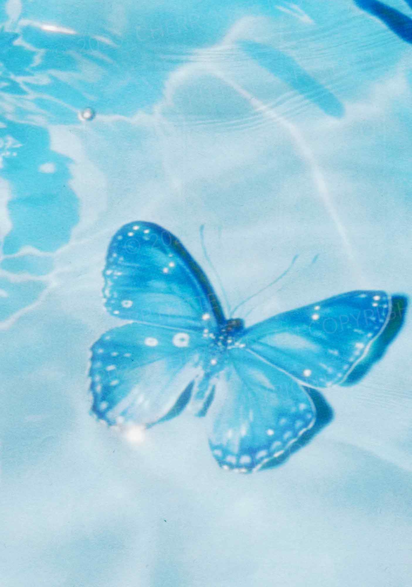 Blue Butterfly Y2K Phone Case Cherrykitten