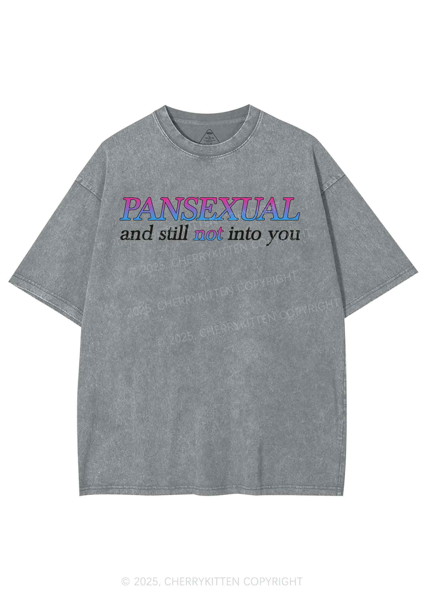 Pansexual Still Not Into You Pride Y2K Shirts Washed Tee Cherrykitten