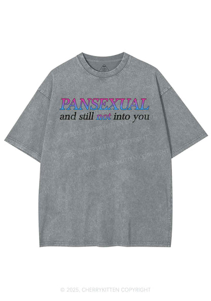 Pansexual Still Not Into You Pride Y2K Shirts Washed Tee Cherrykitten