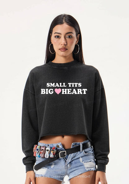 Small But Big Heart Y2K Crop Washed Sweatshirts Cherrykitten