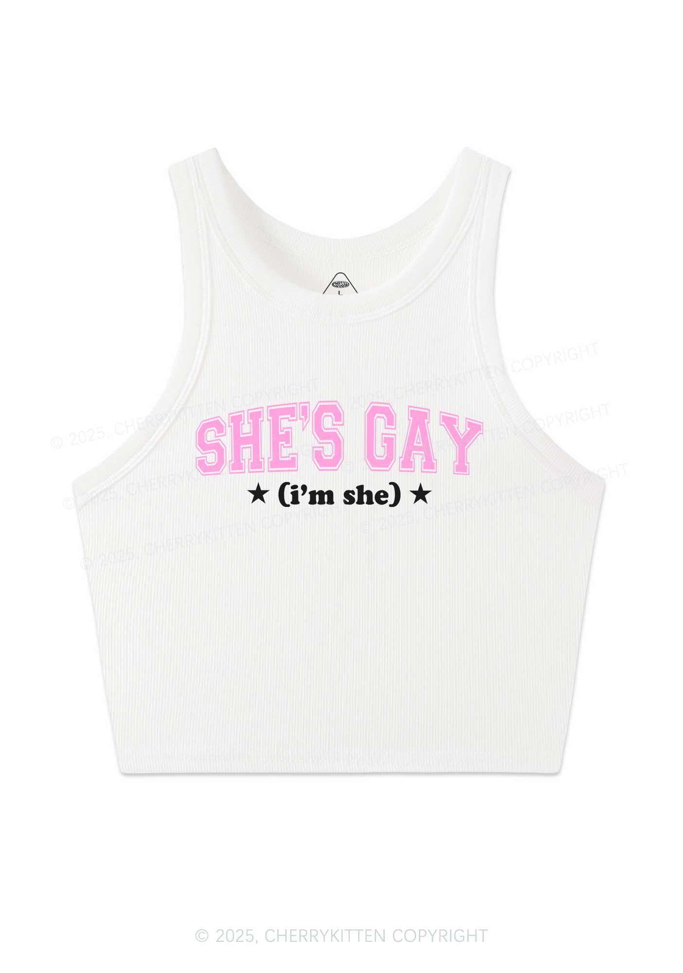 She Is Gay Y2K Crop Tank Top Cherrykitten