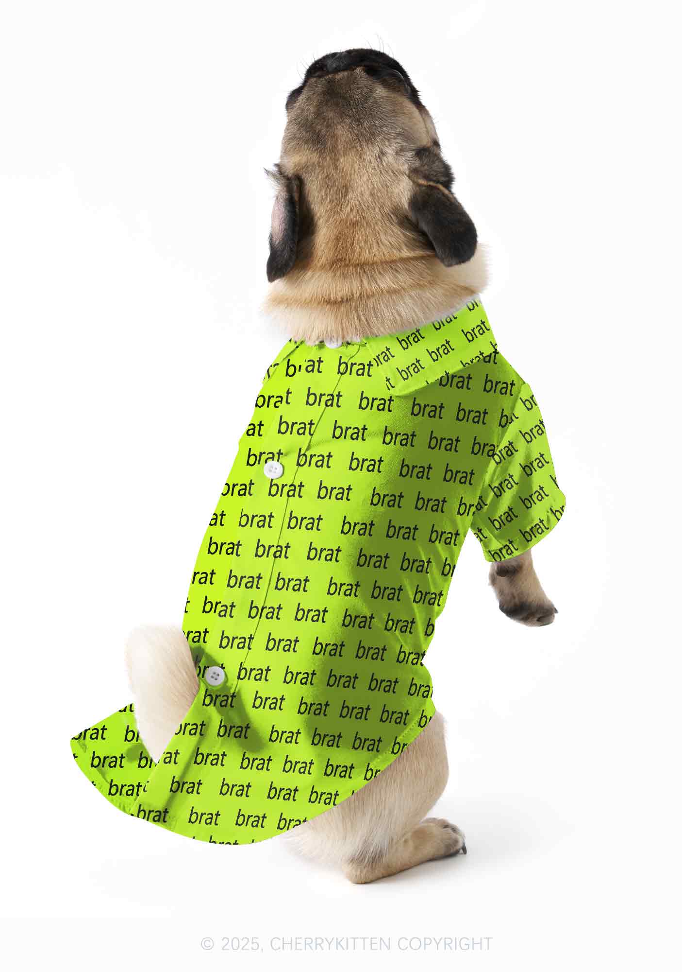 Brat Summer Y2K Pet Shirts Cherrykitten