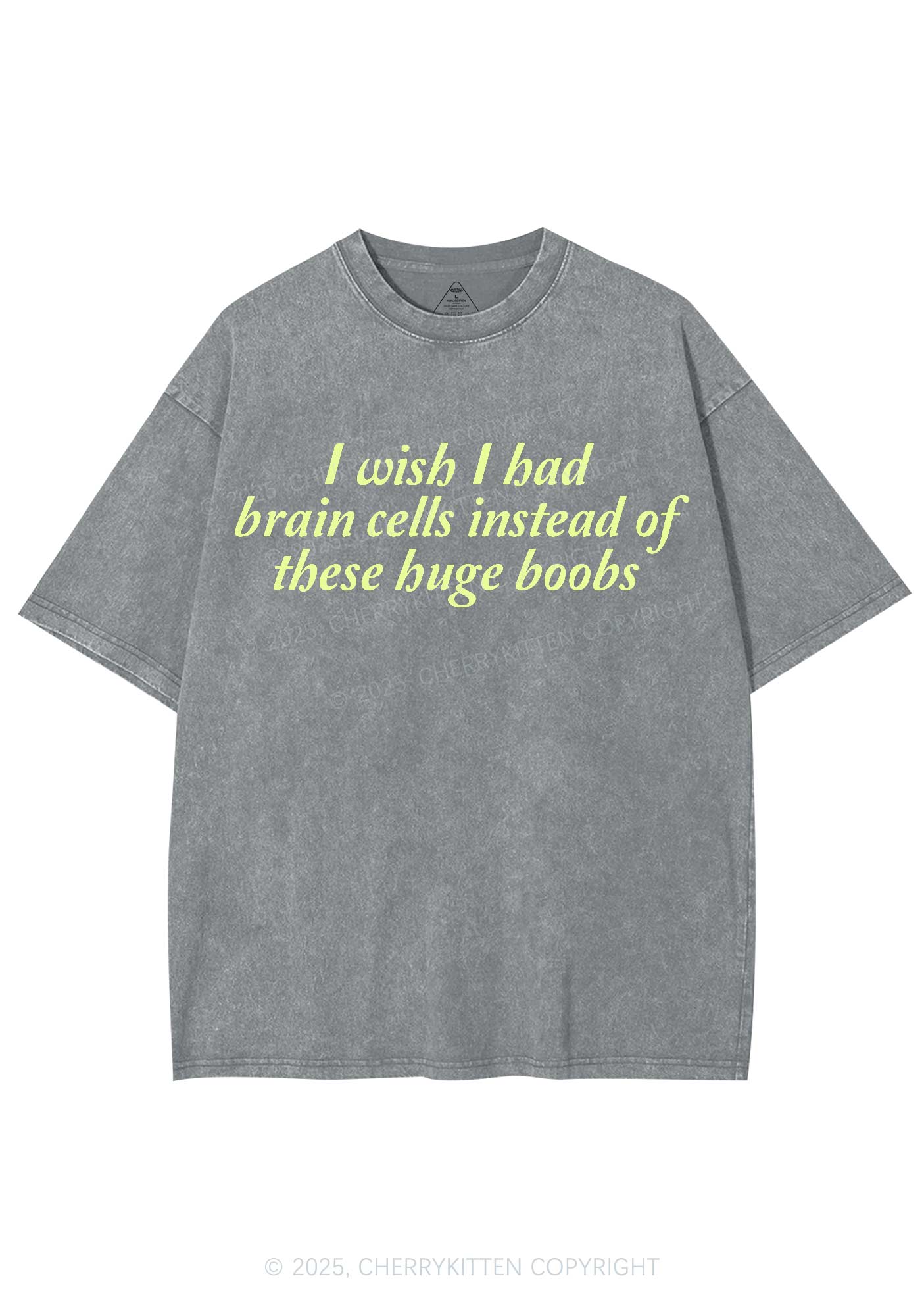 I Had Brain Cells Y2K Shirts Washed Tee Cherrykitten