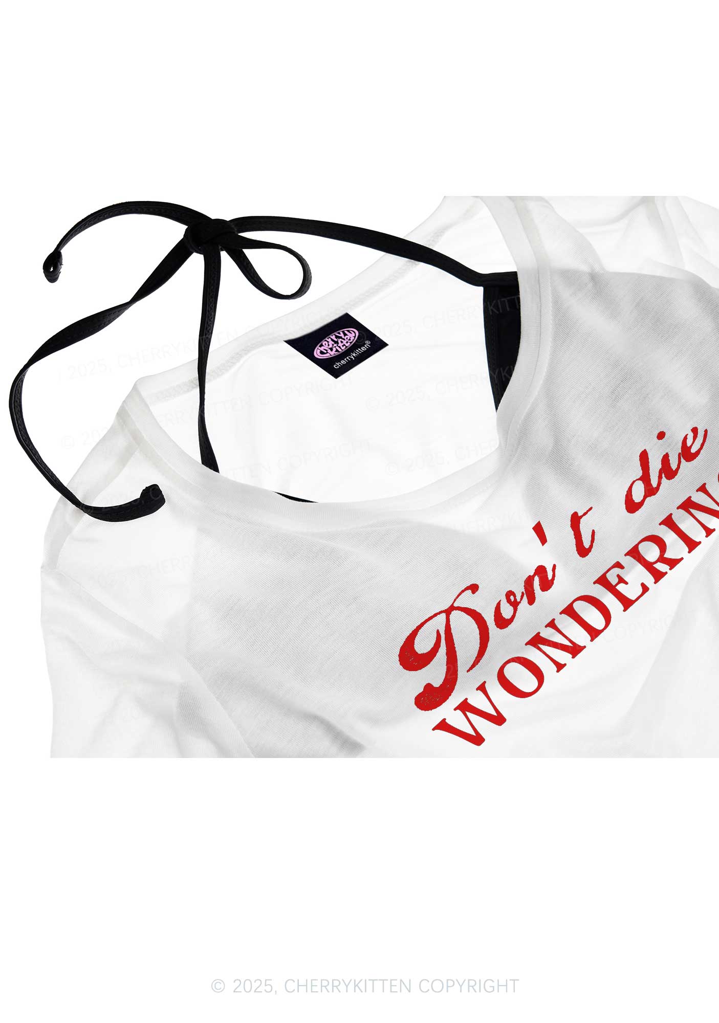Dont Die Wondering Pride Y2K Sheer Boyfriend Tee Cherrykitten