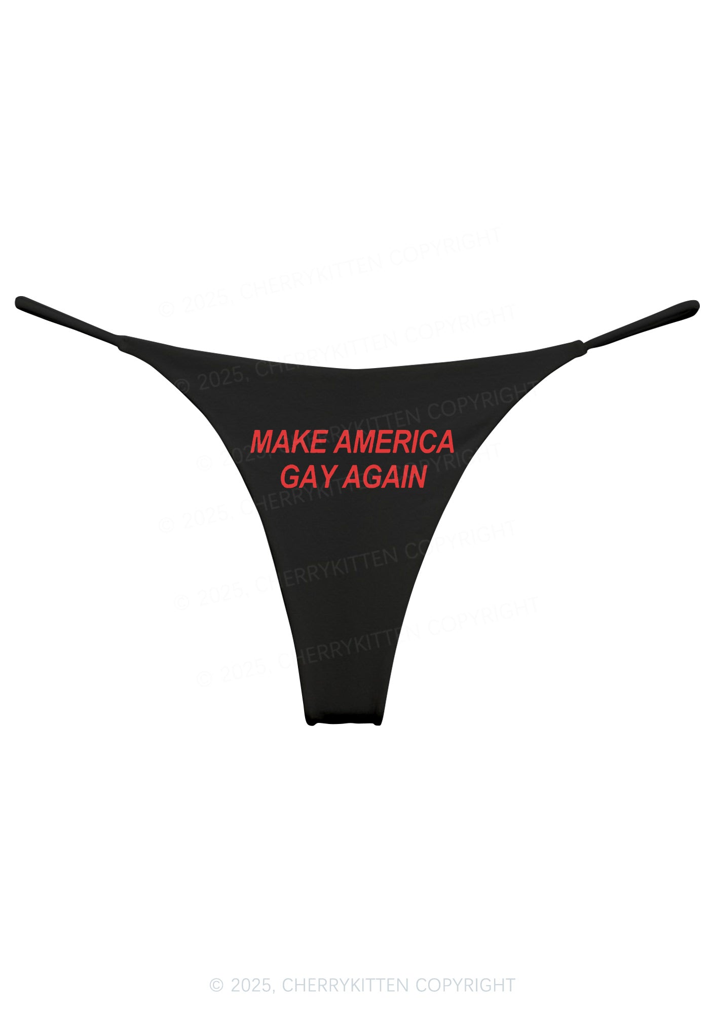 Make America Gay Again Y2K Bikini String Thong Cherrykitten