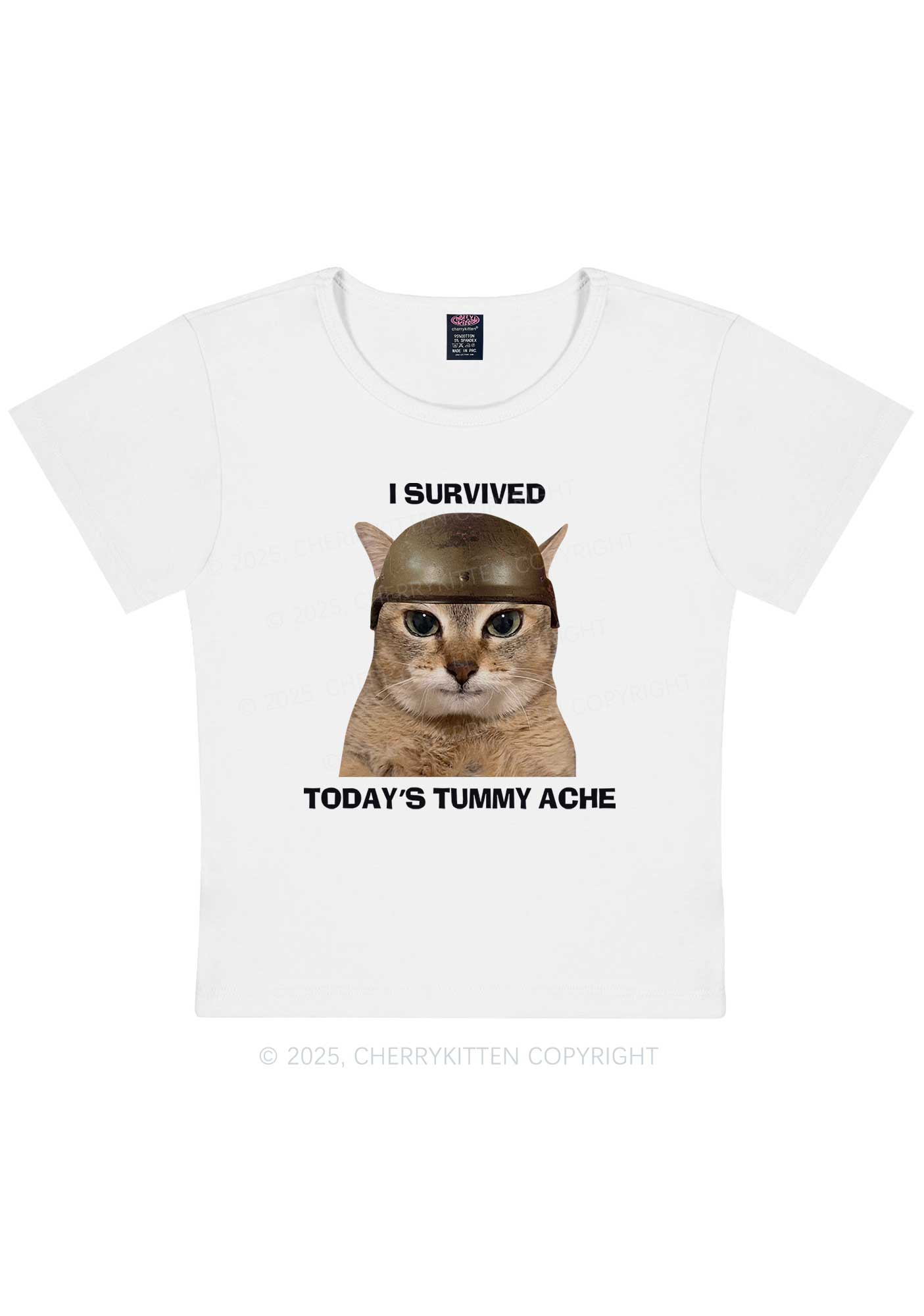Surived Todays Tummy Ache Y2K Baby Tee Cherrykitten
