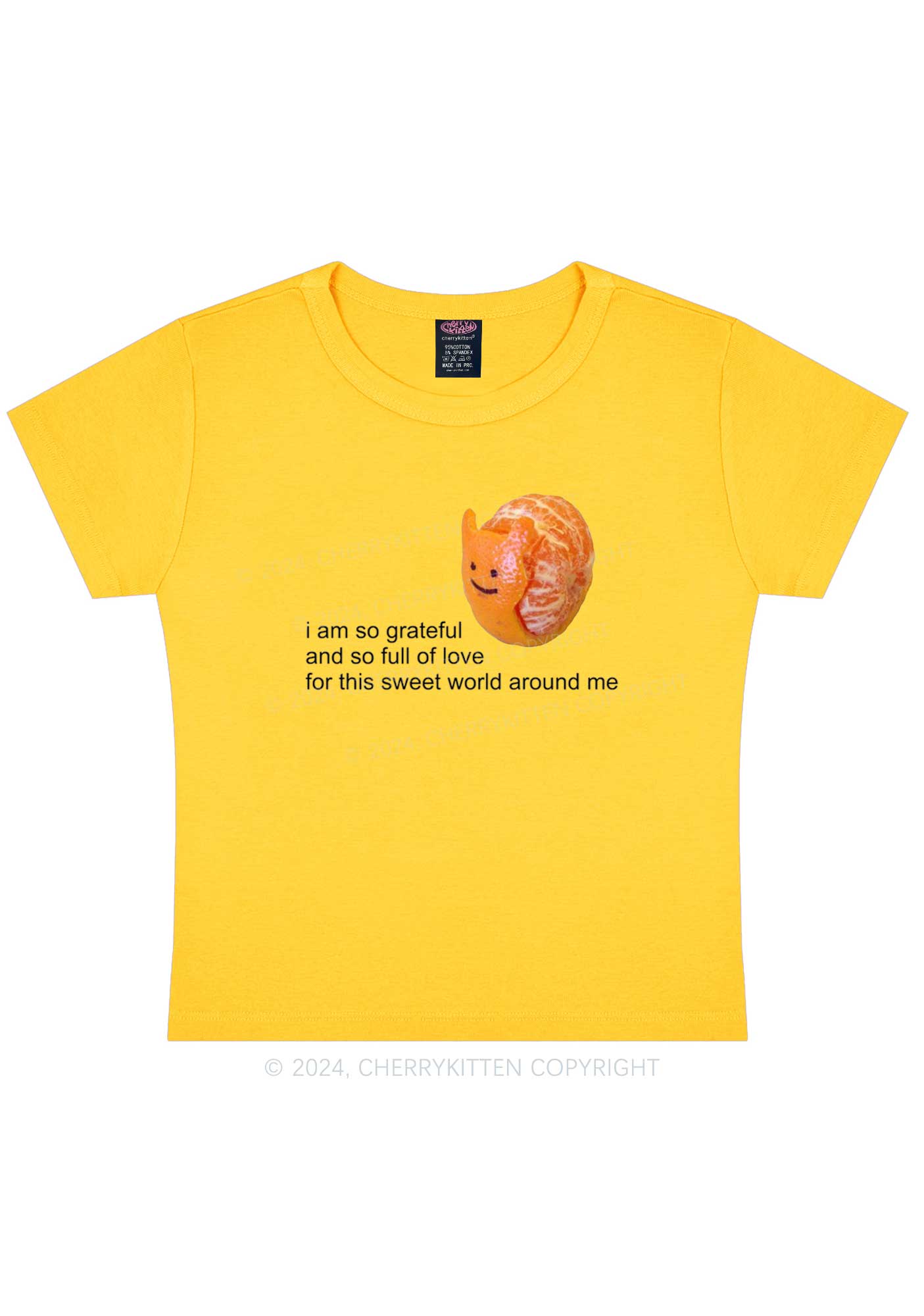 Grateful Orange Y2K Baby Tee Cherrykitten