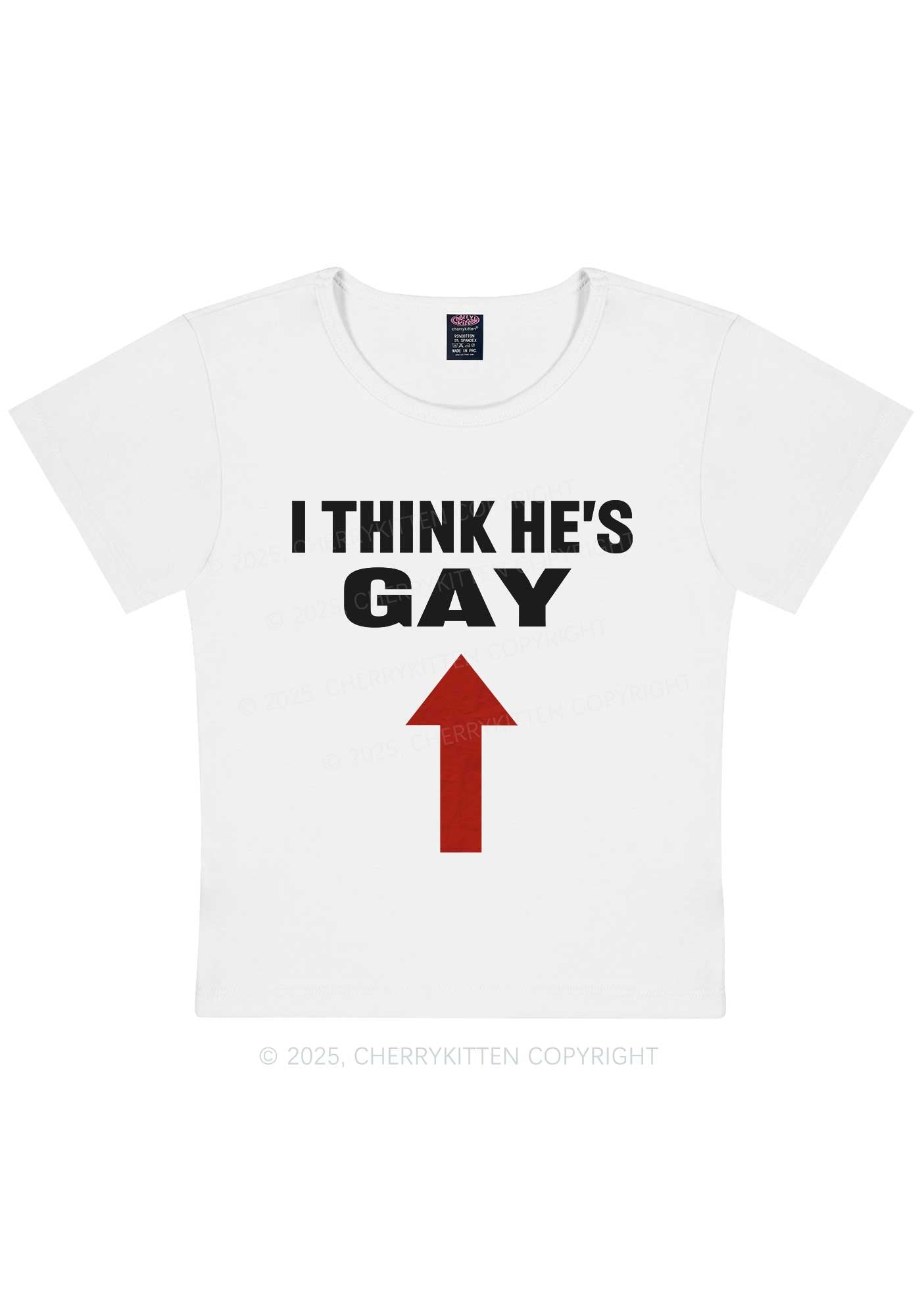 He Is Gay Y2K Baby Tee Cherrykitten