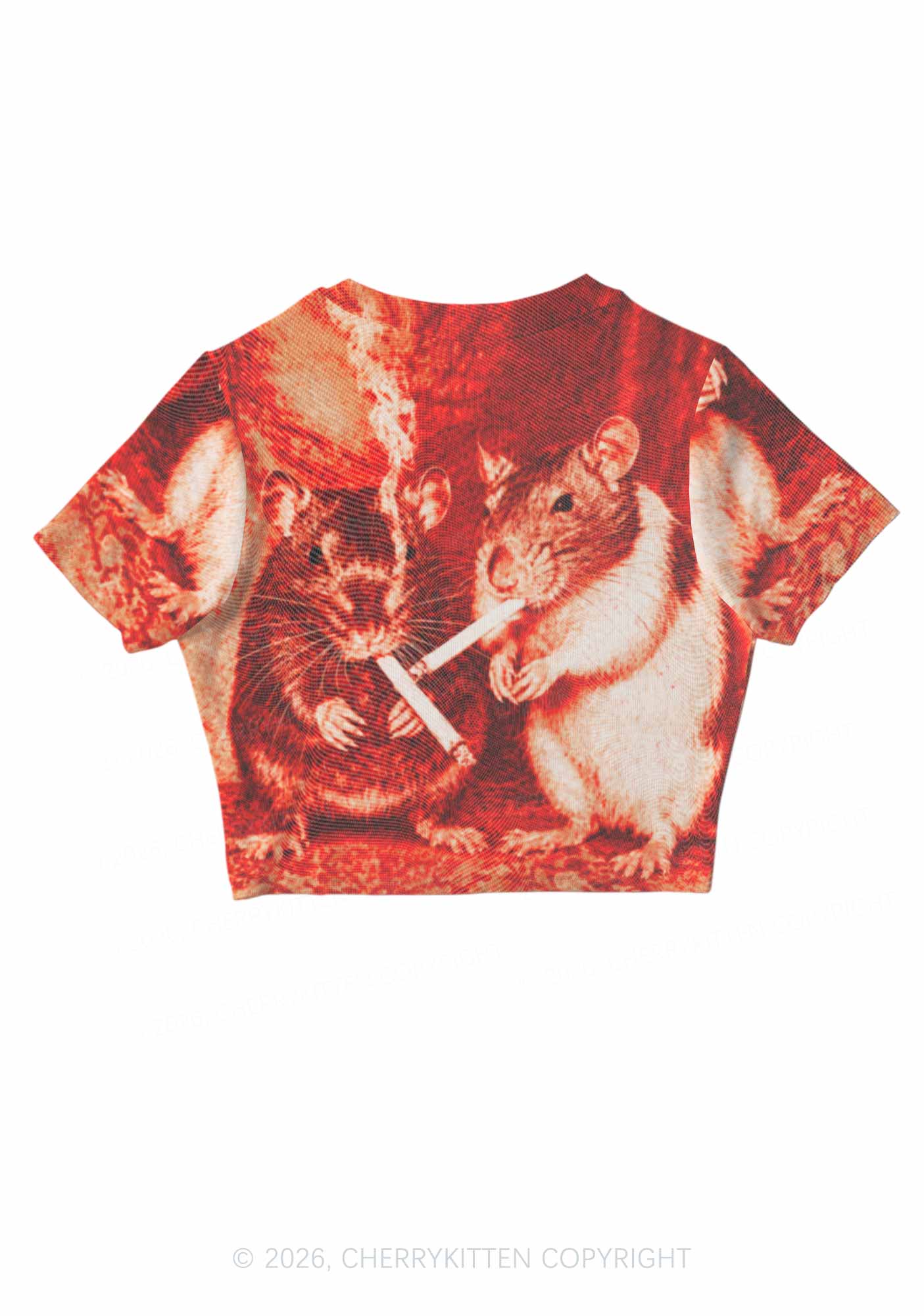 Halloween Blood Smoking Ratz Y2K Mesh Crop Top Cherrykitten