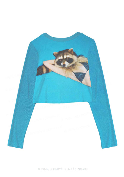 Bikini Raccoon Y2K Mesh Long Sleeve Crop Top Cherrykitten