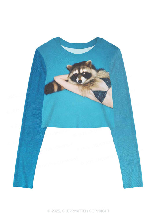 Bikini Raccoon Y2K Mesh Long Sleeve Crop Top Cherrykitten