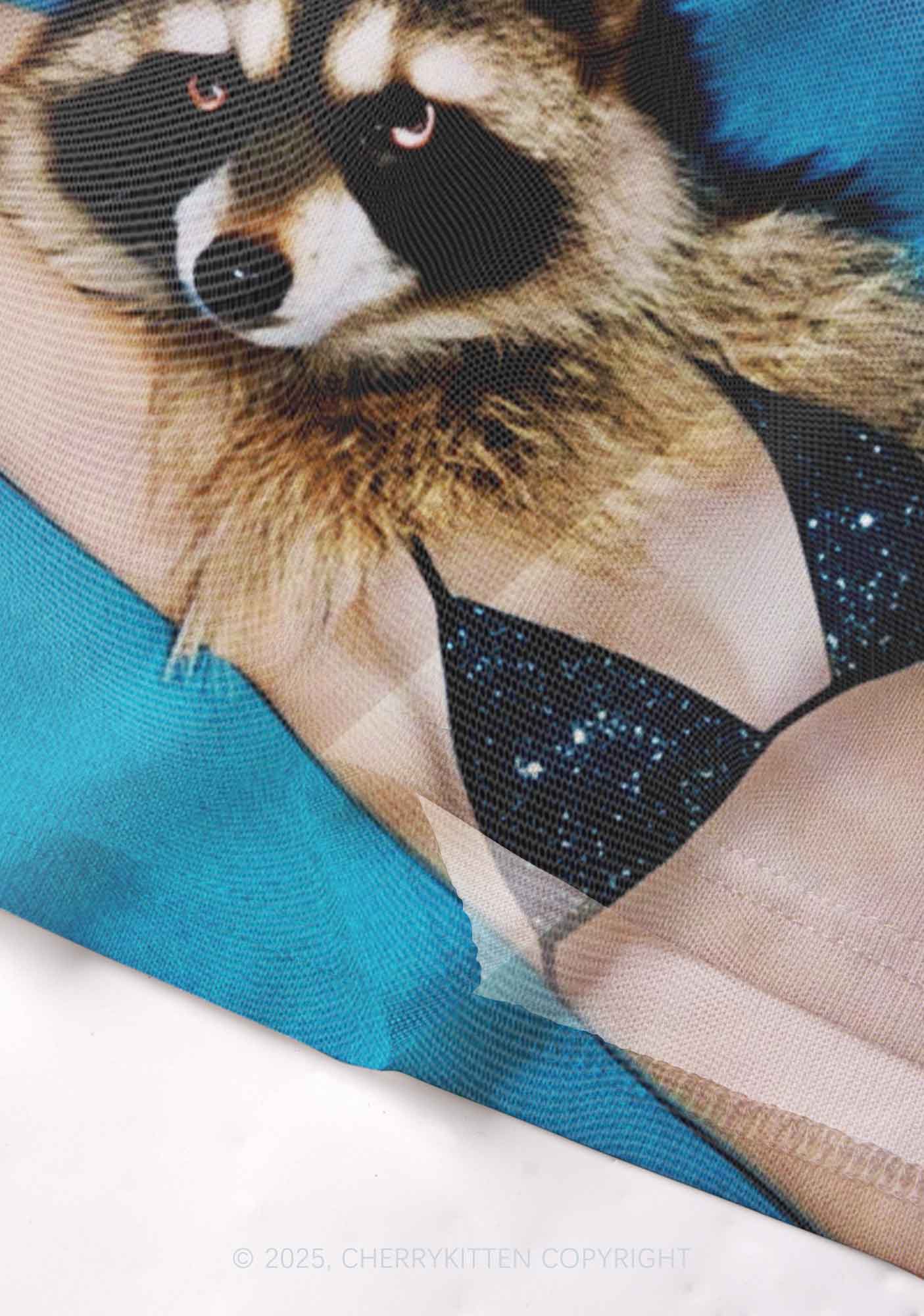 Bikini Raccoon Y2K Mesh Cami Tank Cherrykitten