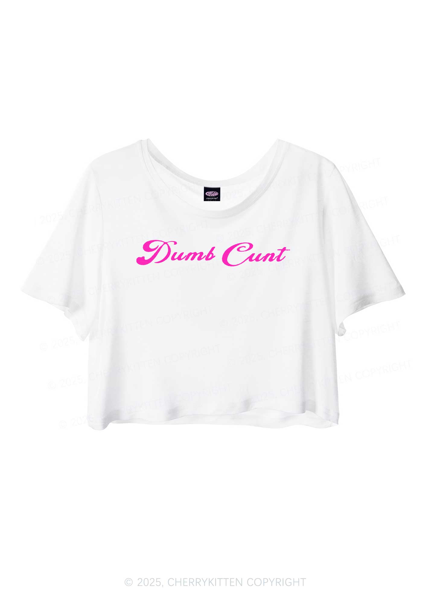 Dumb Cxxt Y2K Sheer Crop Tee Cherrykitten